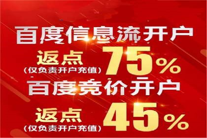 百度SEM广告策略在电商行业的成功案例